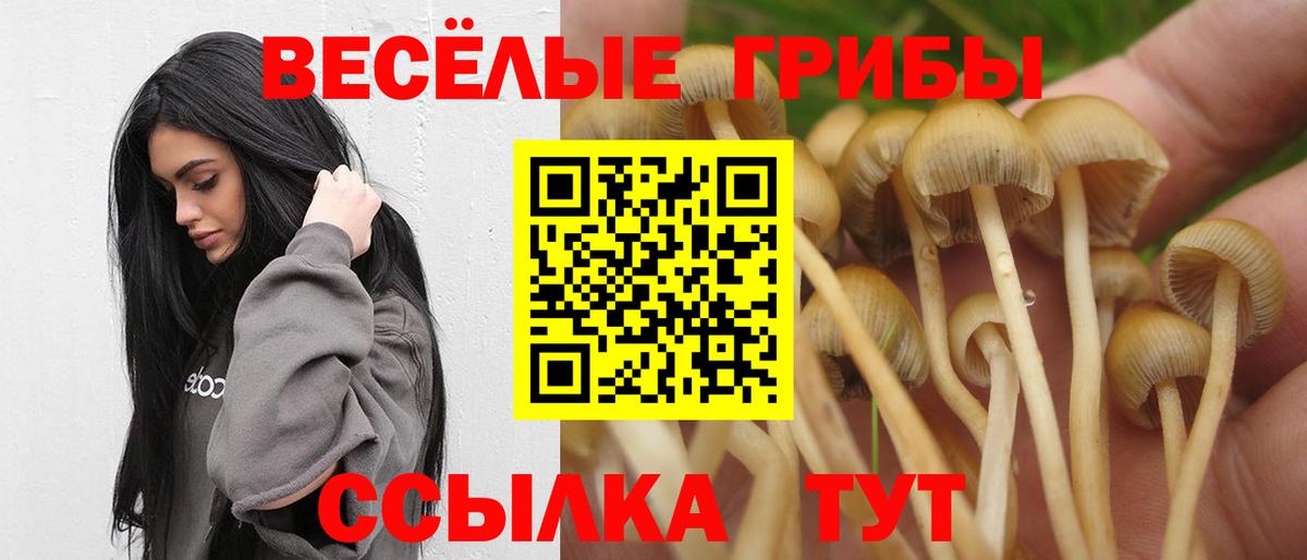 что такое наркотик  Псилоцибиновые грибы Psilocybine cubensis  Вход с VPN  Шахты 